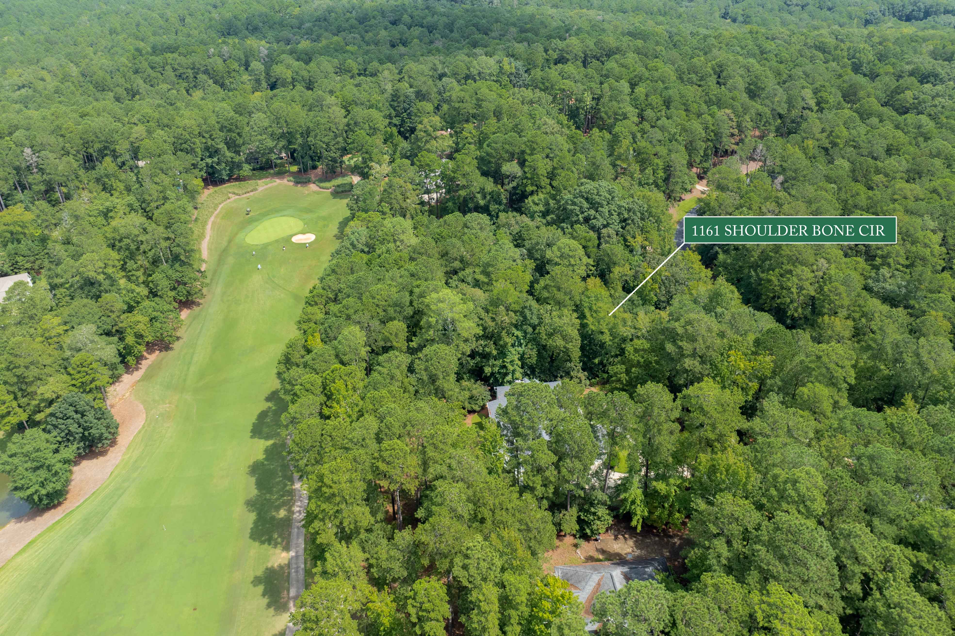 1161 Shoulder Bone Circle image 12